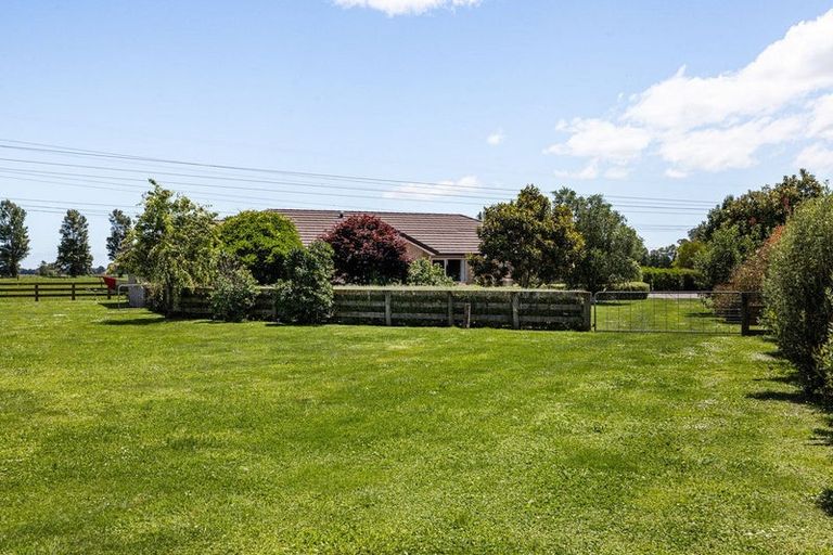 Photo of property in 11 Shadbolt Drive, Leamington, Cambridge, 3432