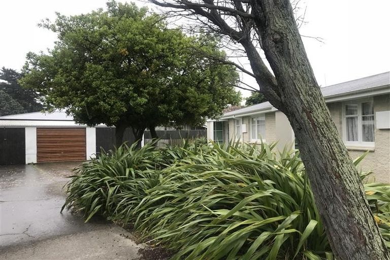 Photo of property in 12a James Foley Avenue, Pirimai, Napier, 4112