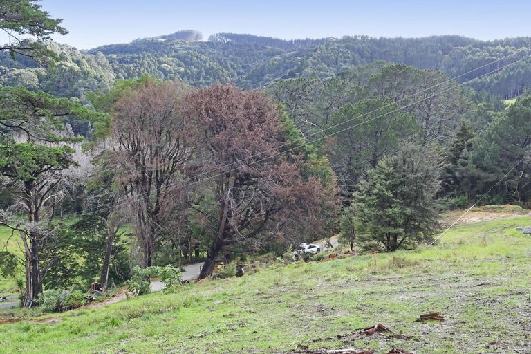 Photo of property in 99 Birdsall Road, Whangateau, Warkworth, 0985