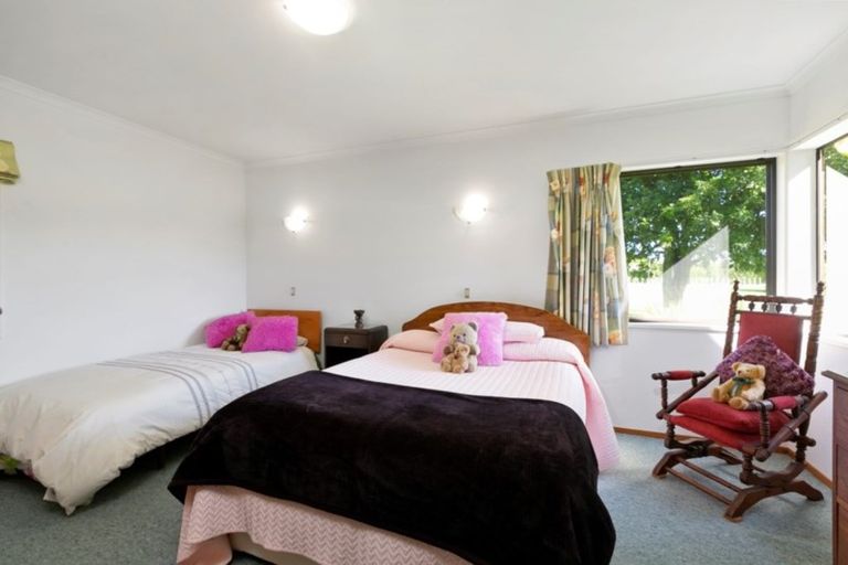 Photo of property in 955 Te Matai Road, Te Ranga, Te Puke, 3188