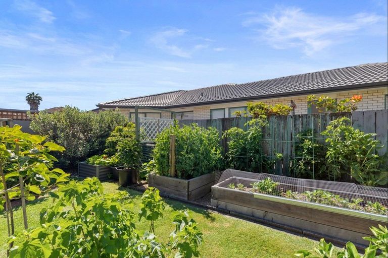 Photo of property in 59b Plateau Heights, Mount Maunganui, 3116
