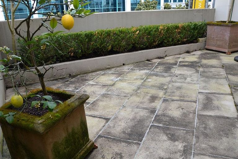 Photo of property in 1c George Street, Newmarket, Auckland, 1023