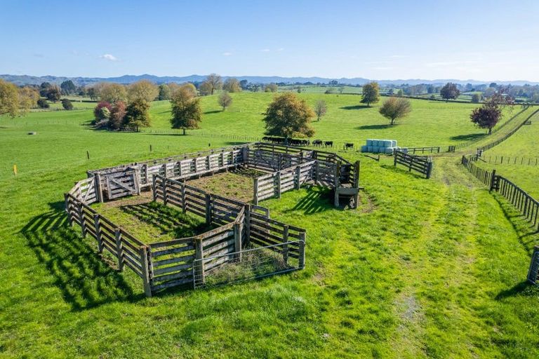 Photo of property in 103 Jury Road, Ngahinapouri, Hamilton, 3290