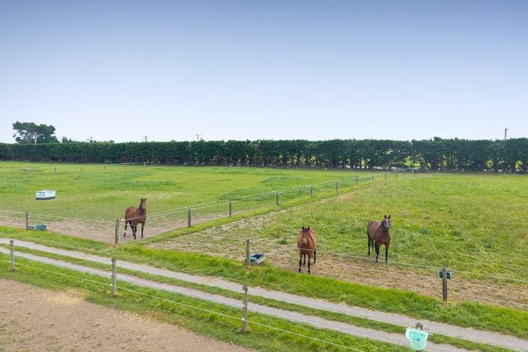 Photo of property in 690 Depot Road, Burnt Hill, Oxford, 7495