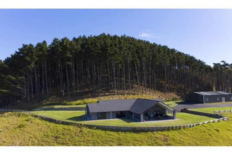 Photo of property in 63 Aldred Road, Karioitahi, Waiuku, 2683