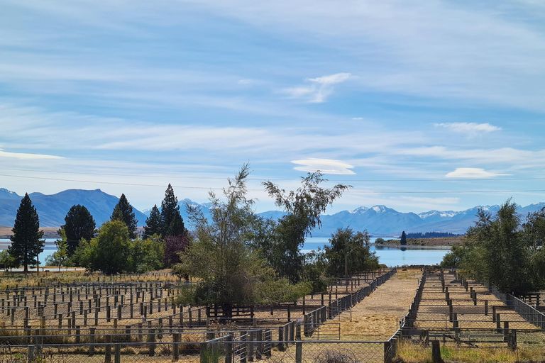 Photo of property in 9 Dwyer Place, Lake Tekapo, 7999