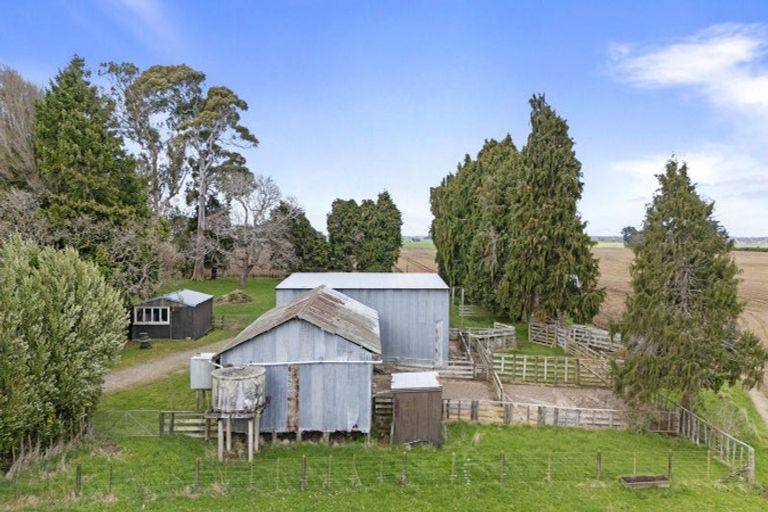 Photo of property in 352 Jeffersons Line, Marton, 4788