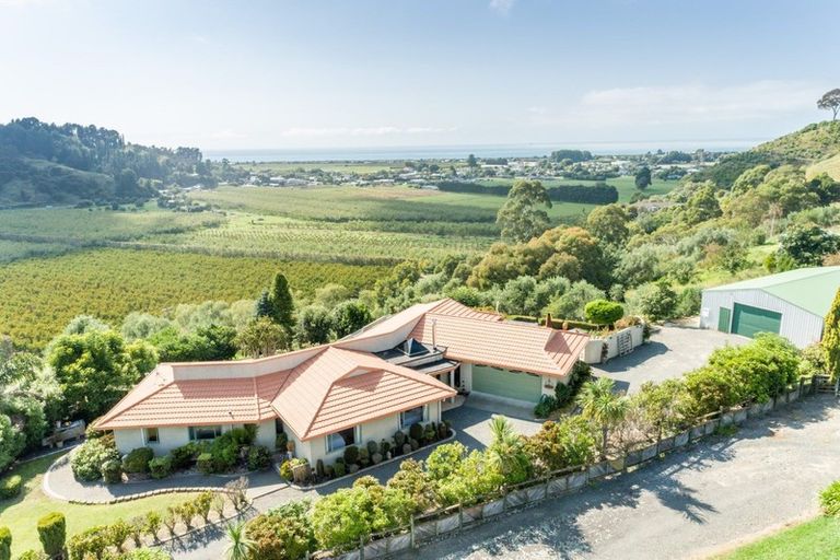 Photo of property in 87 Hill Road, Bay View, Napier, 4182