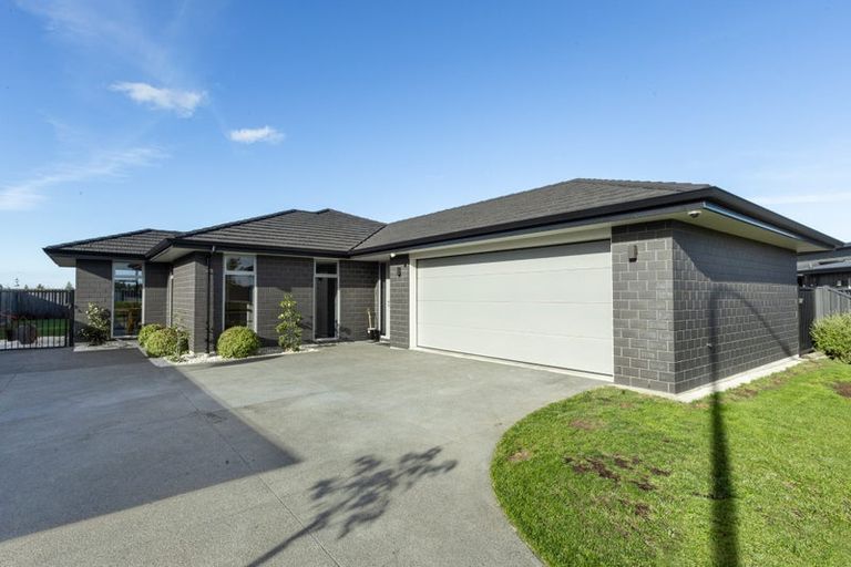 Photo of property in 75 Lochhead Street, Mahora, Hastings, 4120