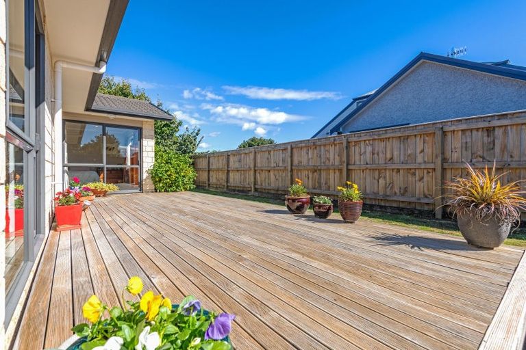 Photo of property in 19a Manson Street, Terrace End, Palmerston North, 4410