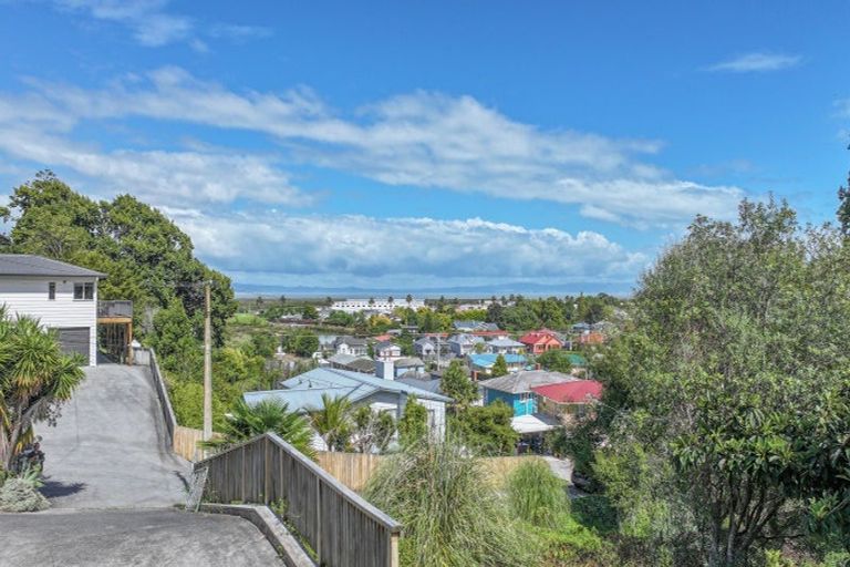 Photo of property in 110 Brunton Crescent, Thames, 3500