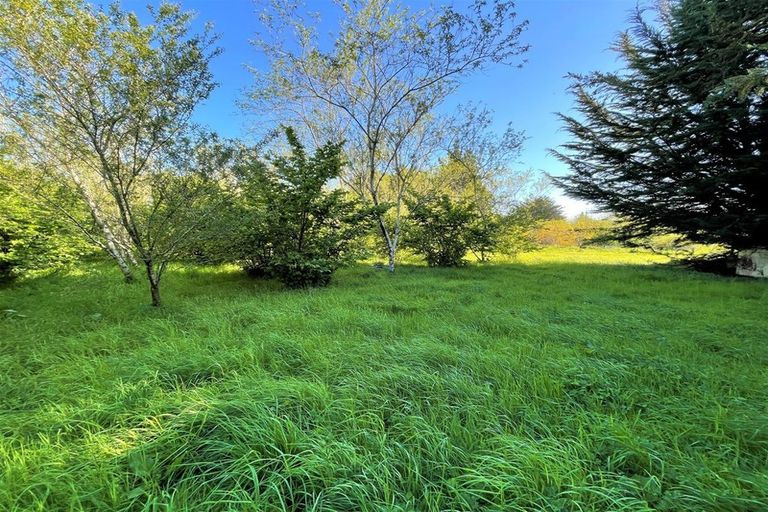 Photo of property in 25 Newport Street, Milton, 9220