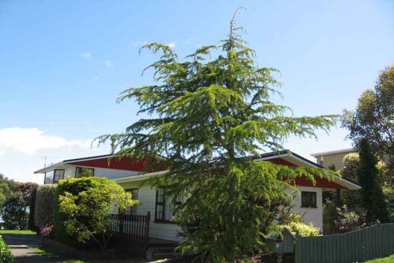 Photo of property in 5 Penzance Street, Marybank, Nelson, 7010