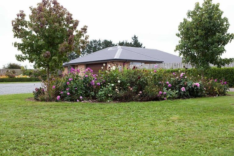 Photo of property in 1238 Two Chain Road, Swannanoa, 7475