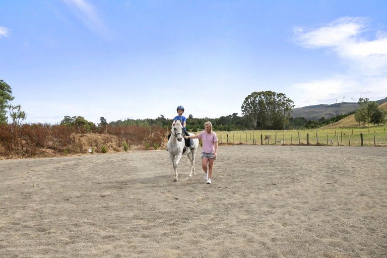 Photo of property in 302 Gorge Road, Ballance, Pahiatua, 4983