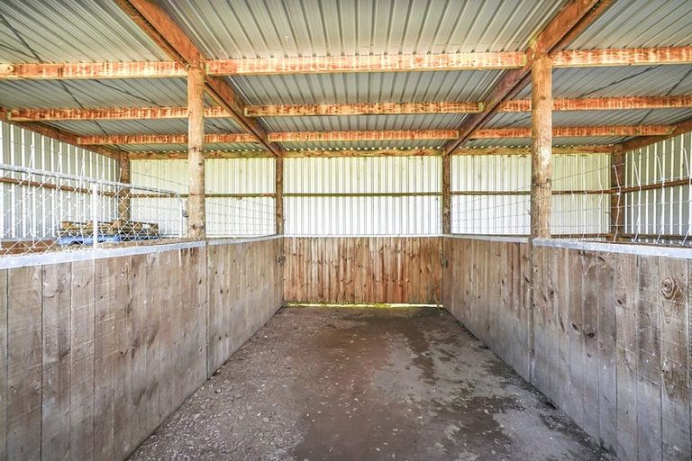 Photo of property in 87b Fuchsia Lane, Tamahere, Hamilton, 3284