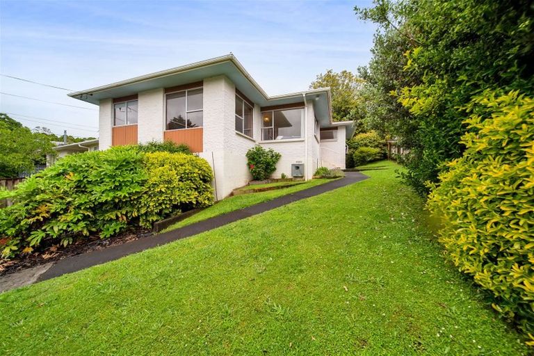 Photo of property in 15 Elizabeth Place, Ferndale, New Plymouth, 4310