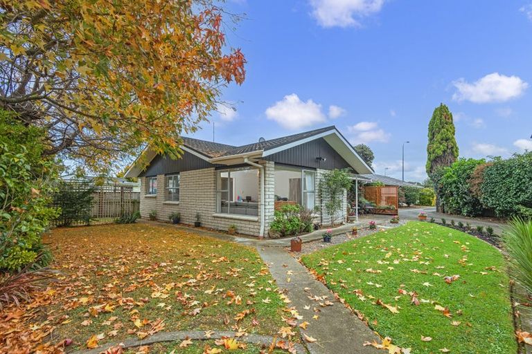 Photo of property in 122b College Street, Awapuni, Palmerston North, 4412