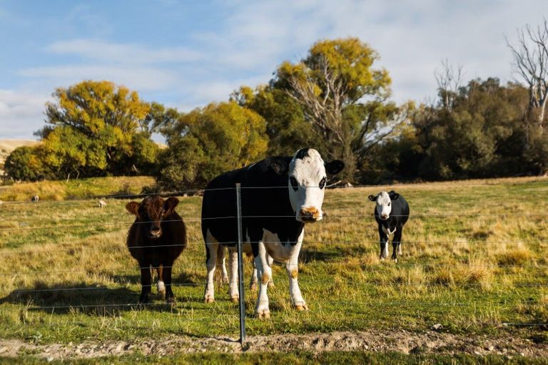 Photo of property in 26 Gartley Lane, Springvale, 9393