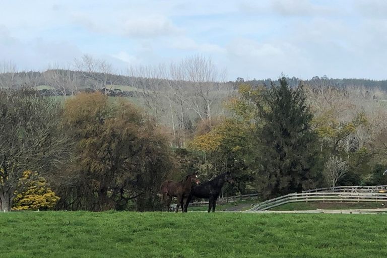 Photo of property in 921 Horseshoe Bush Road, Waitoki, Kaukapakapa, 0871