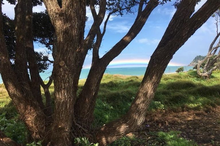 Photo of property in 24 Marlin Place, Whiritoa, Whangamata, 3691