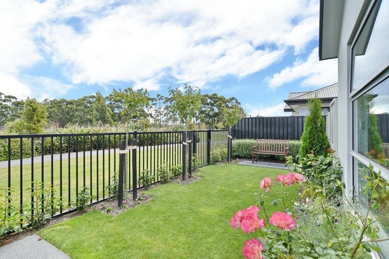 Photo of property in 17 Johnson Street, Kaiapoi, 7630