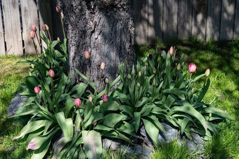 Photo of property in 87 Mcdonnell Road, Arrowtown, 9302