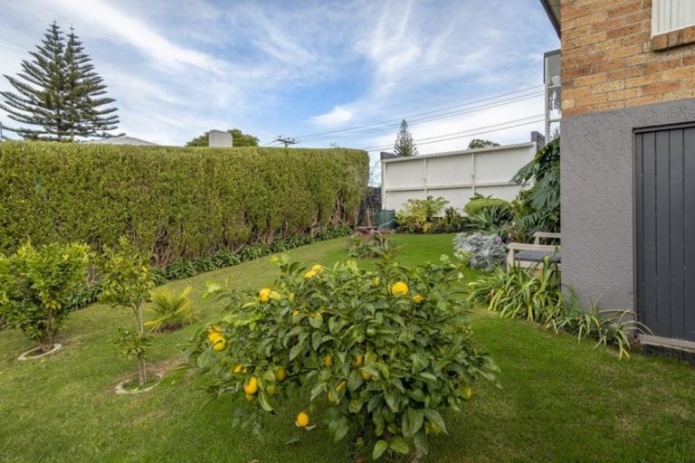 Photo of property in 42a Brookfield Terrace, Brookfield, Tauranga, 3110