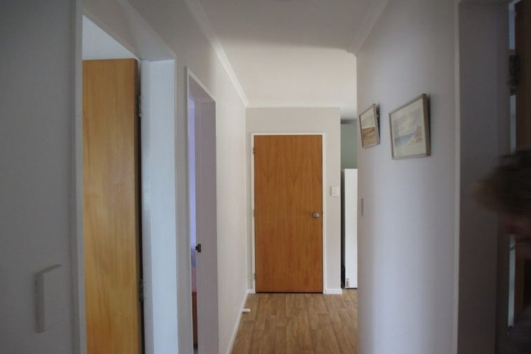 Photo of property in 17 Douglas Street, Levin, 5510