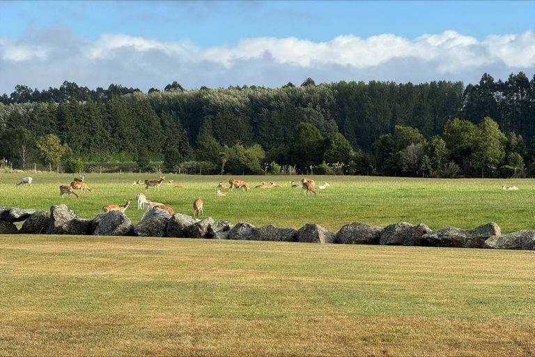 Photo of property in 18 Meadowlinks Lane, Pleasant Point, 7974