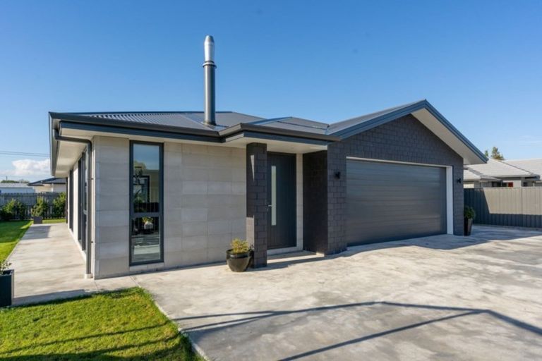Photo of property in 55b Dublin Street, Martinborough, 5711