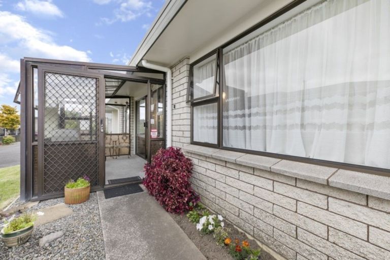 Photo of property in 124a Edgecumbe Road, Tauranga South, Tauranga, 3112