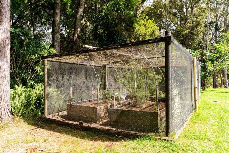 Photo of property in 356 Bull Road, Paparoa, Waiotira, 0193