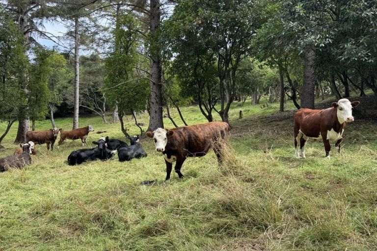 Photo of property in Centrewood Homestead, 105 Bobbys Head Road, Goodwood, Palmerston, 9481