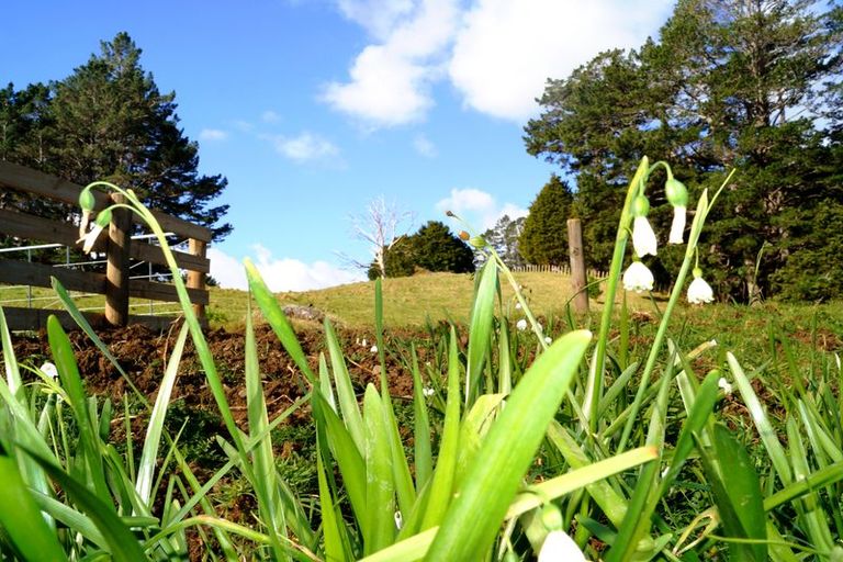 Photo of property in 3672 State Highway 10, Kaeo, 0478