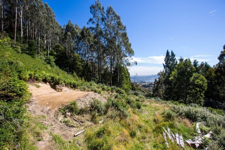 Photo of property in 533 Mount Cargill Road, Mount Cargill, Waitati, 9085