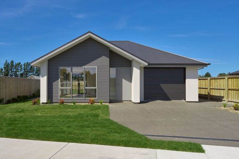 Photo of property in 55 Benn Street, Amberley, 7481