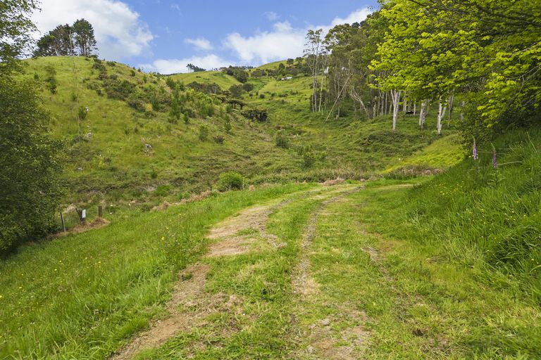 Photo of property in 127a Otonga Valley Road, Raglan, 3295