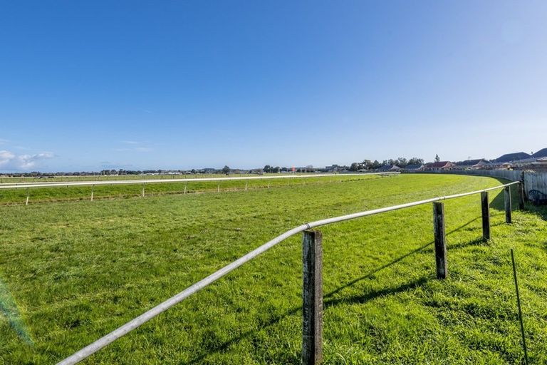 Photo of property in 24 Mahoe Street, Levin, 5510