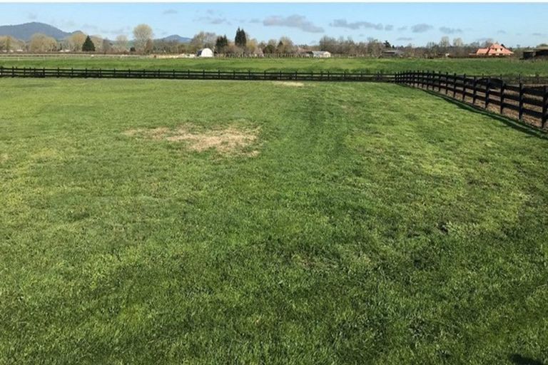 Photo of property in 24 Eldonwood Drive, Matamata, 3400