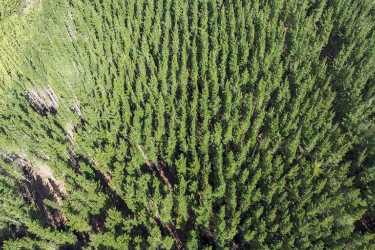 Photo of property in 243 Worlingham Road, Eyrewell, West Eyreton, 7476