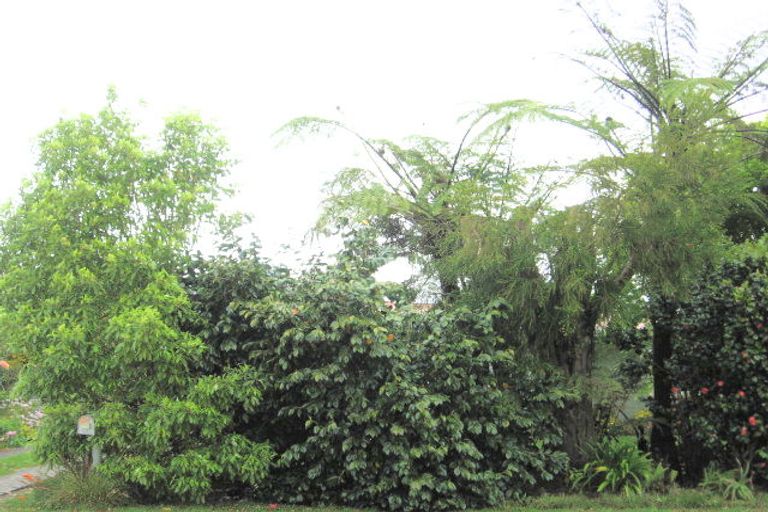 Photo of property in 12 Sedgewick Road, Opotiki, 3122