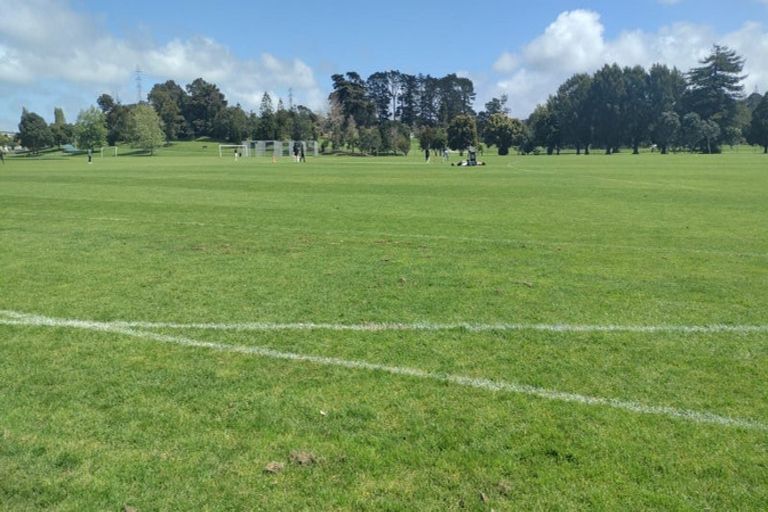 Photo of property in 23 Woven Place, Karaka, Papakura, 2113