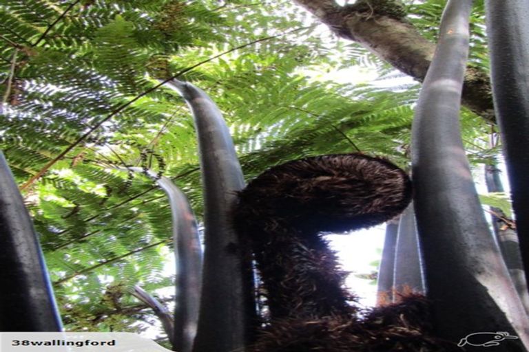 Photo of property in 332d North Beach Road, Point Elizabeth, Greymouth, 7802