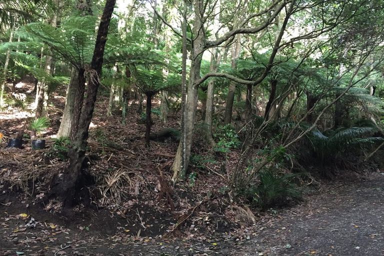 Photo of property in 16 Waikarekare Lane, Karekare, Auckland, 0772