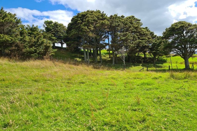 Photo of property in 304 Arapaoa Road, Tinopai, Matakohe, 0593