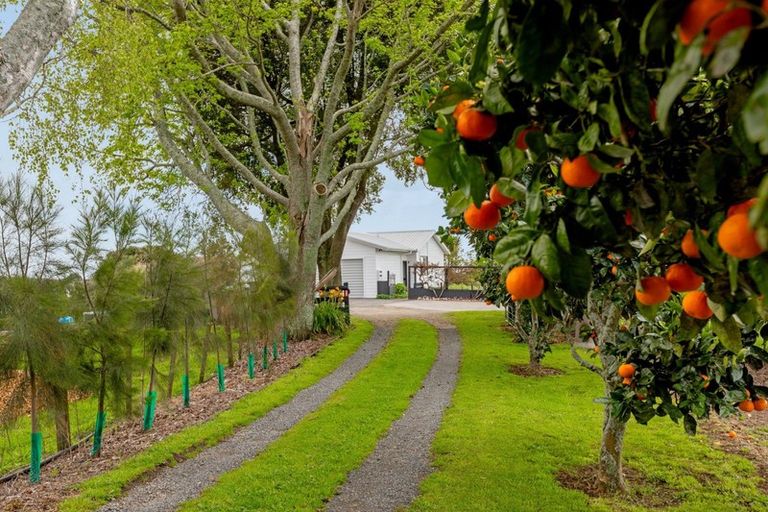 Photo of property in 185 Pongakawa Bush Road, Pongakawa, Te Puke, 3186