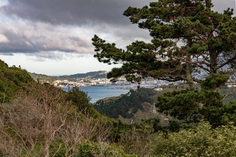 Photo of property in 20 Miles Crescent, Newlands, Wellington, 6037