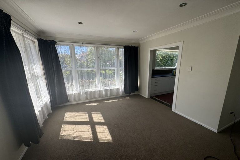 Photo of property in 38 Boyce Avenue, Mount Roskill, Auckland, 1041