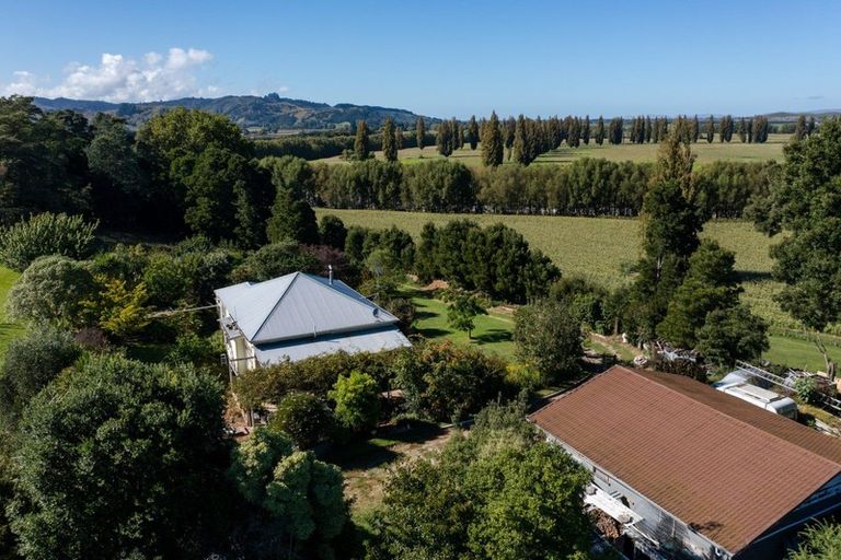 Photo of property in 1507 Matawai Road, Ormond, Gisborne, 4071
